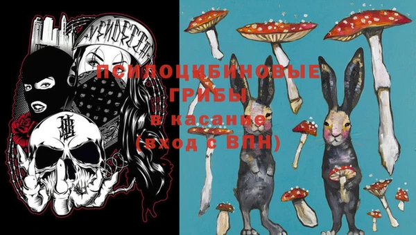 PSILOCYBIN Алзамай
