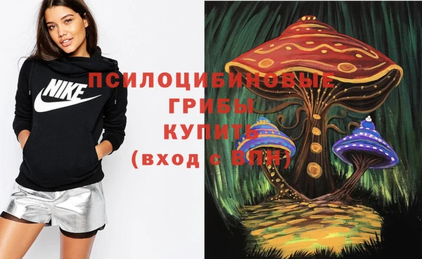 спайс Абинск