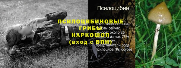 бошки Абдулино